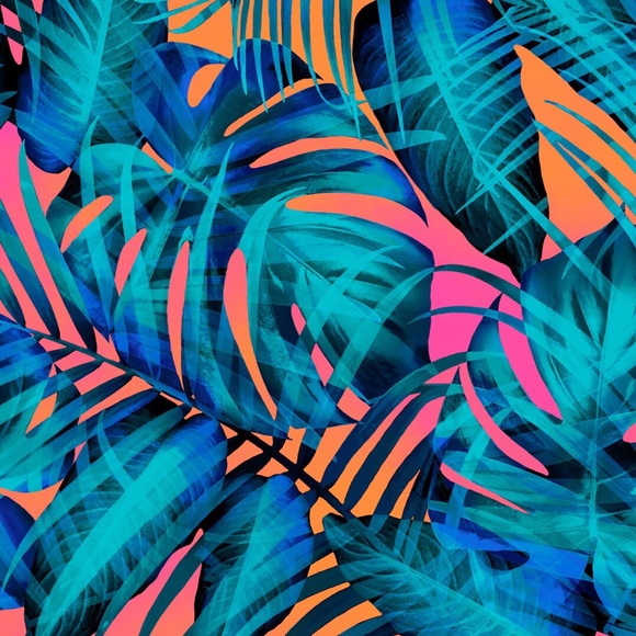 Meet your Posher, Dawni - Picture 1 of 1